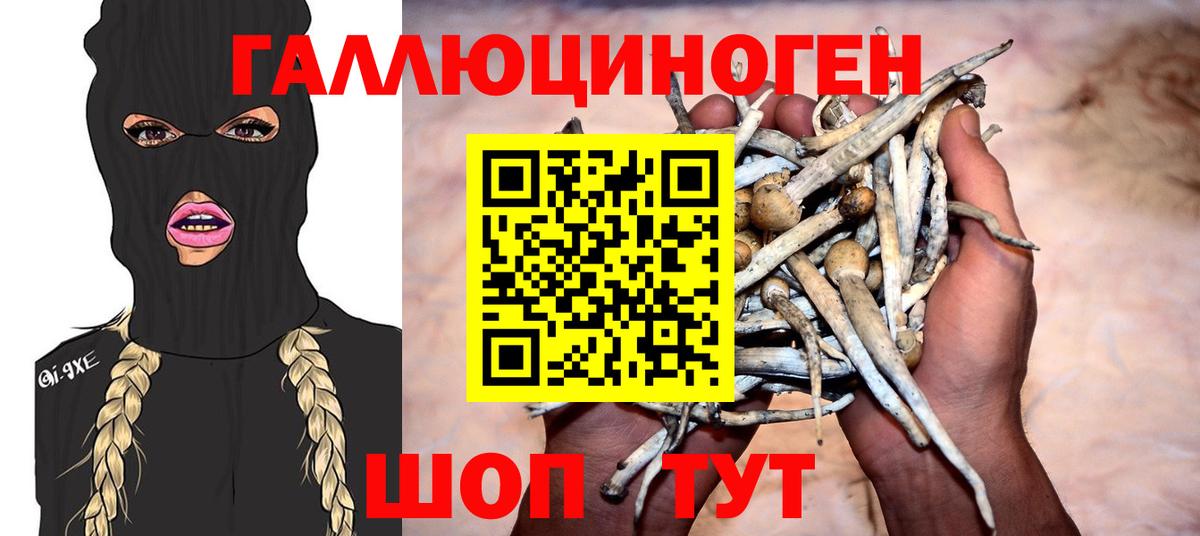 Псилоцибиновые грибы Psilocybe  Вход с VPN  Касимов  Галлюциногенные грибы прущие грибы 