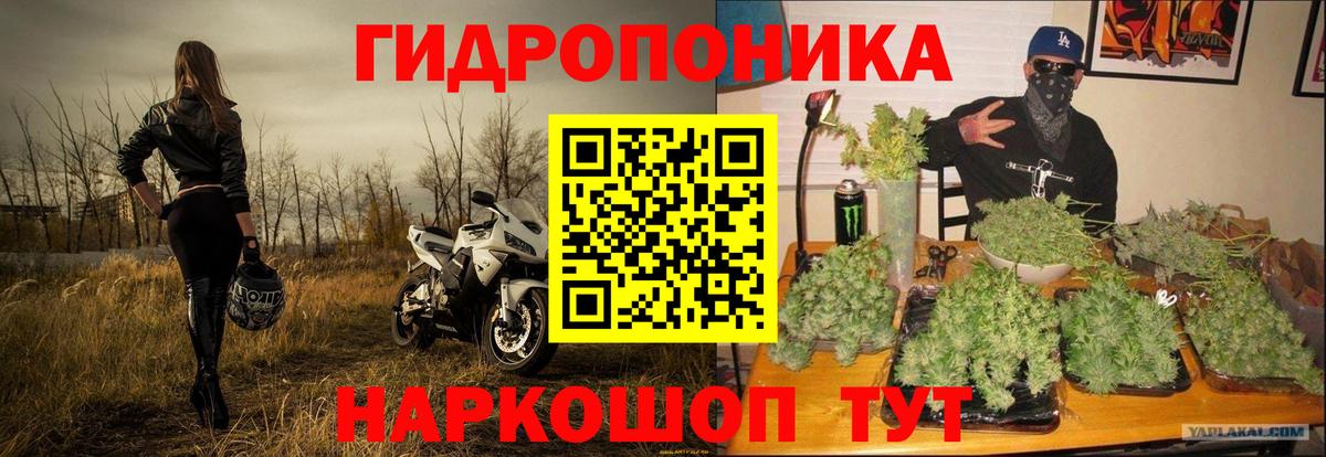 Бошки Шишки Ganja  Шишки марихуана VHQ  Вход с VPN  Конопля Bruce Banner  Касимов  Шишки марихуана THC 21% 